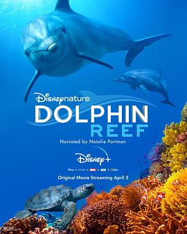 海豚礁 Dolphin Reef 海报