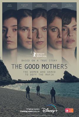 好母亲 The Good Mothers 海报