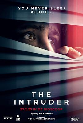 疑影夜袭 The Intruder 海报